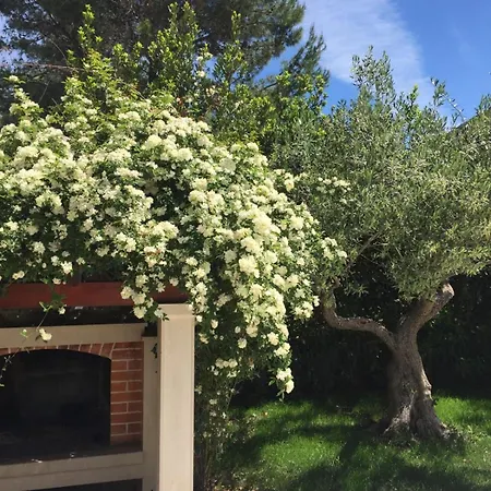 Luxurioeses Mit Privater Terrasse * Splitska